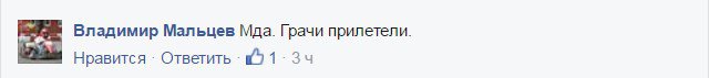 В Сети «затроллили» москвичей, наблюдающих за репетицией парада к 9 мая