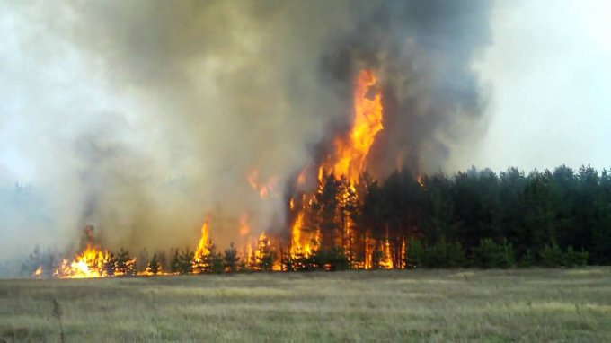 В Канаде из-за лесных пожаров эвакуируют целые города