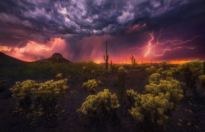 Захватывающая мощь гигантских молний глазами бесстрашных фотографов. Фото