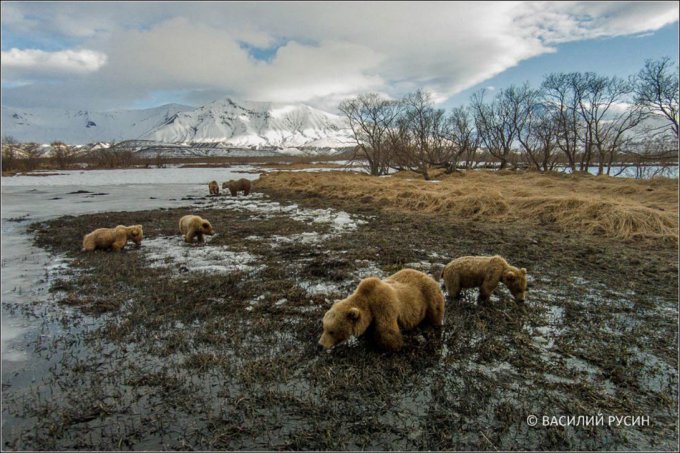 Невероятной красоты фотографии с дронов