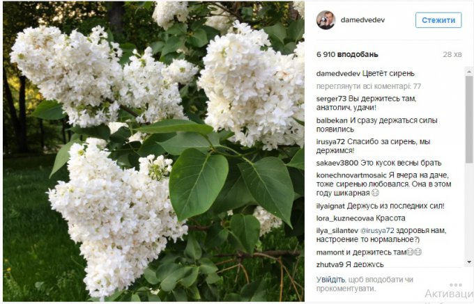 Шутники высмеяли публикацию Медведева в Instagram
