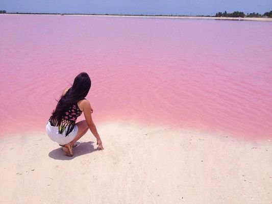 Уникальная розовая лагуна в Мексике. Фото