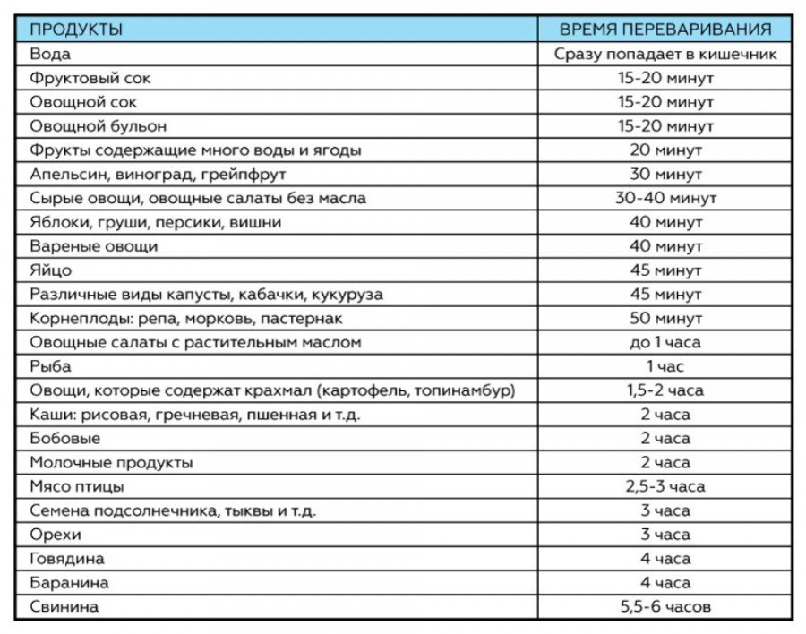 Узнайте, как быстро желудок переваривает разные продукты