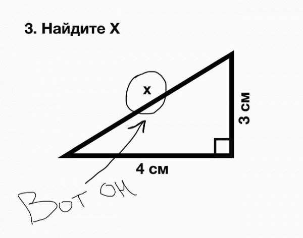 Когда все логичное становится смешным. Фото