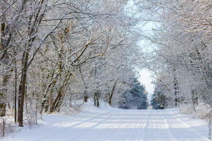 Впечатляющие пейзажи заснеженной Хортицы. Фото