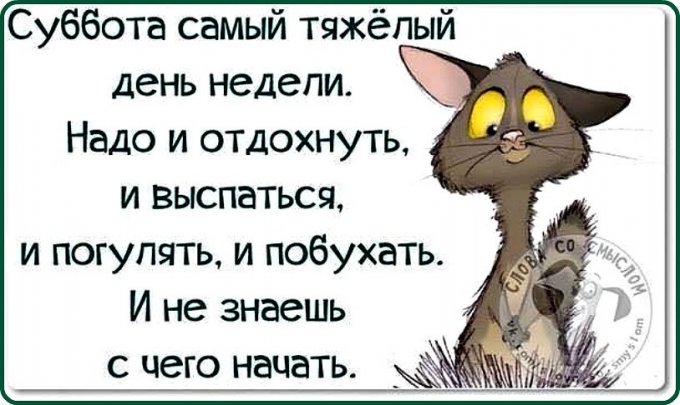 Субботние приколы в картинках для отличного настроения