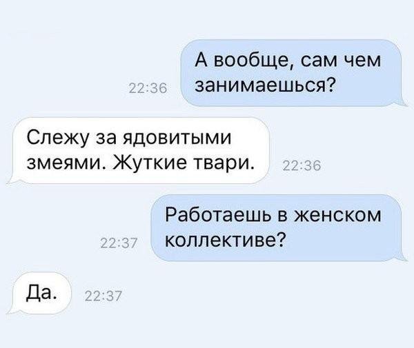 Уморительные картинки на тему "ядовитый женский коллектив"