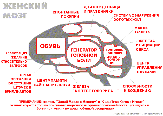 Подборка забавных картинок о прекрасных женщинах