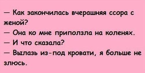 Я плакал: уморительные анекдоты о сущности бытия