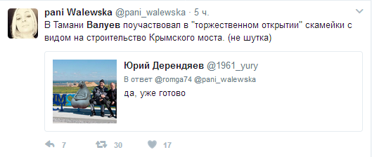 Валуев показал, как на самом деле выглядит «Крымский мост»