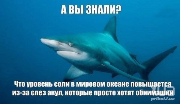 Злободневные шутки на тему "хочу к морю"