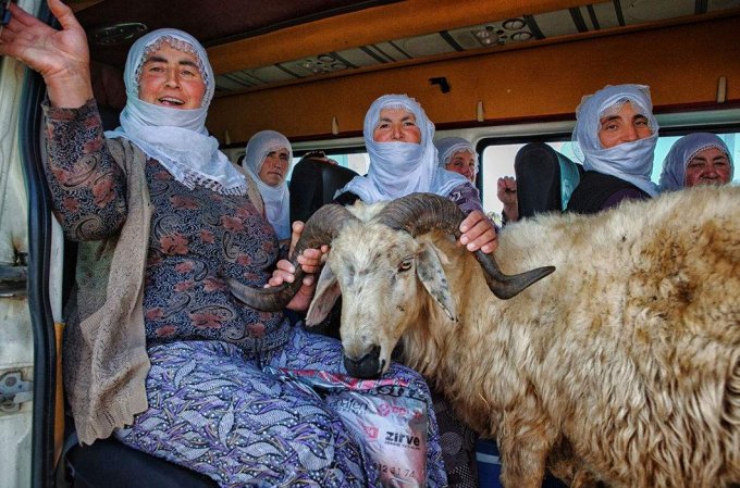 Турецкие деревушки - взгляд изнутри. Фото