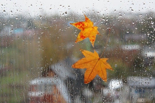 В Украине местами пройдут небольшие дожди