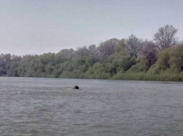 На Дунае всплыли пять противолодочных мин