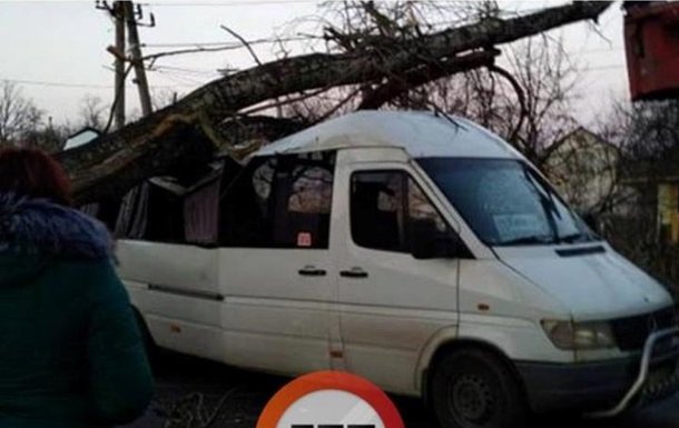 На Київщині дерево упало на маршрутку, постраждала жінка