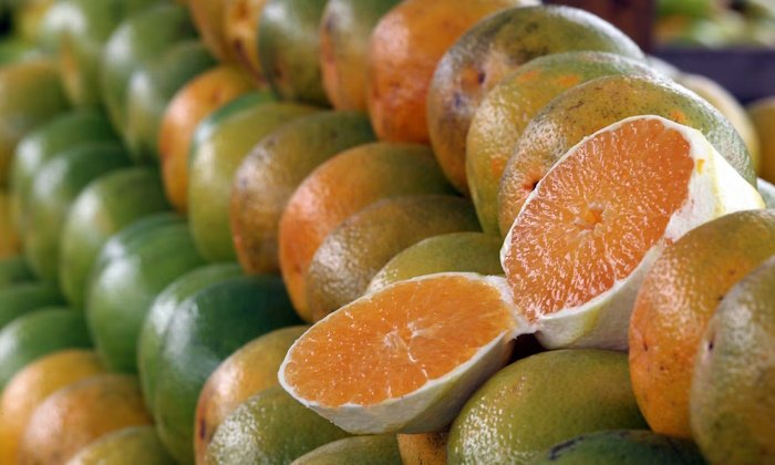 Производители апельсинового сока в поисках альтернатив: кризис на рынке цитрусовых