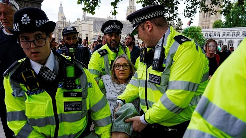 Более 425 задержанных за участие в запрещённой демонстрации в Лондоне